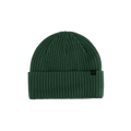 Forecast Beanie - Pine