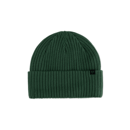 Forecast Beanie - Pine