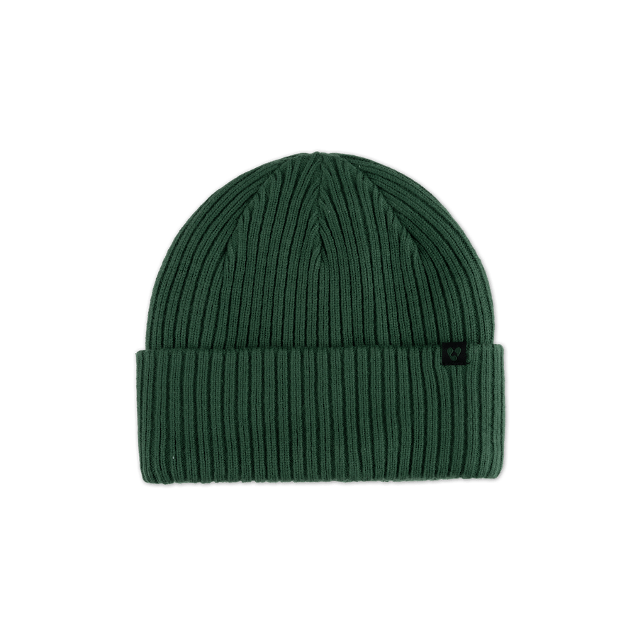 Forecast Beanie - Pine